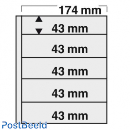 1 hoja compact 5 secciones (43x174mm)
