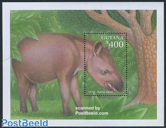 tapir s/s