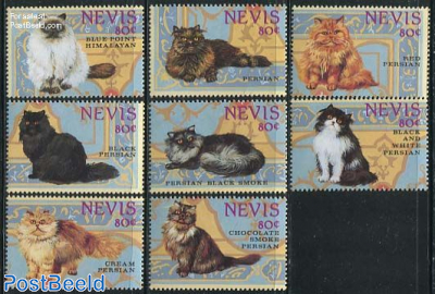 Persians cats 8v